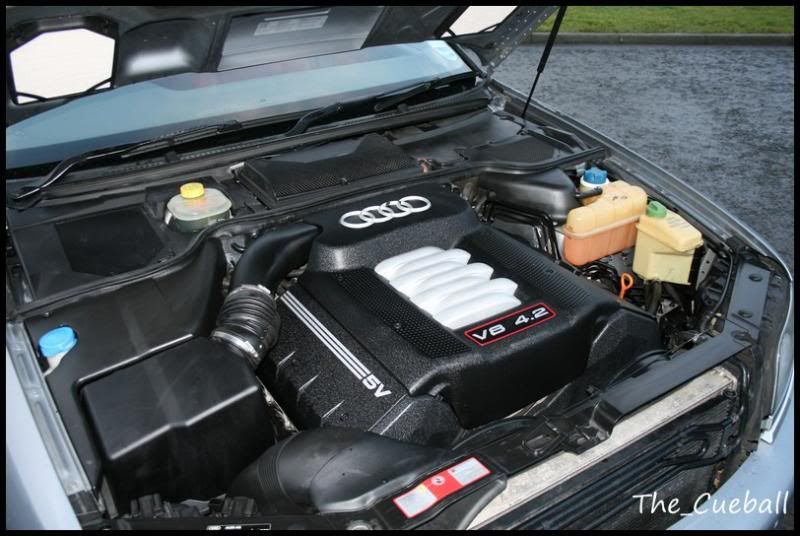 Snow foam engine bay